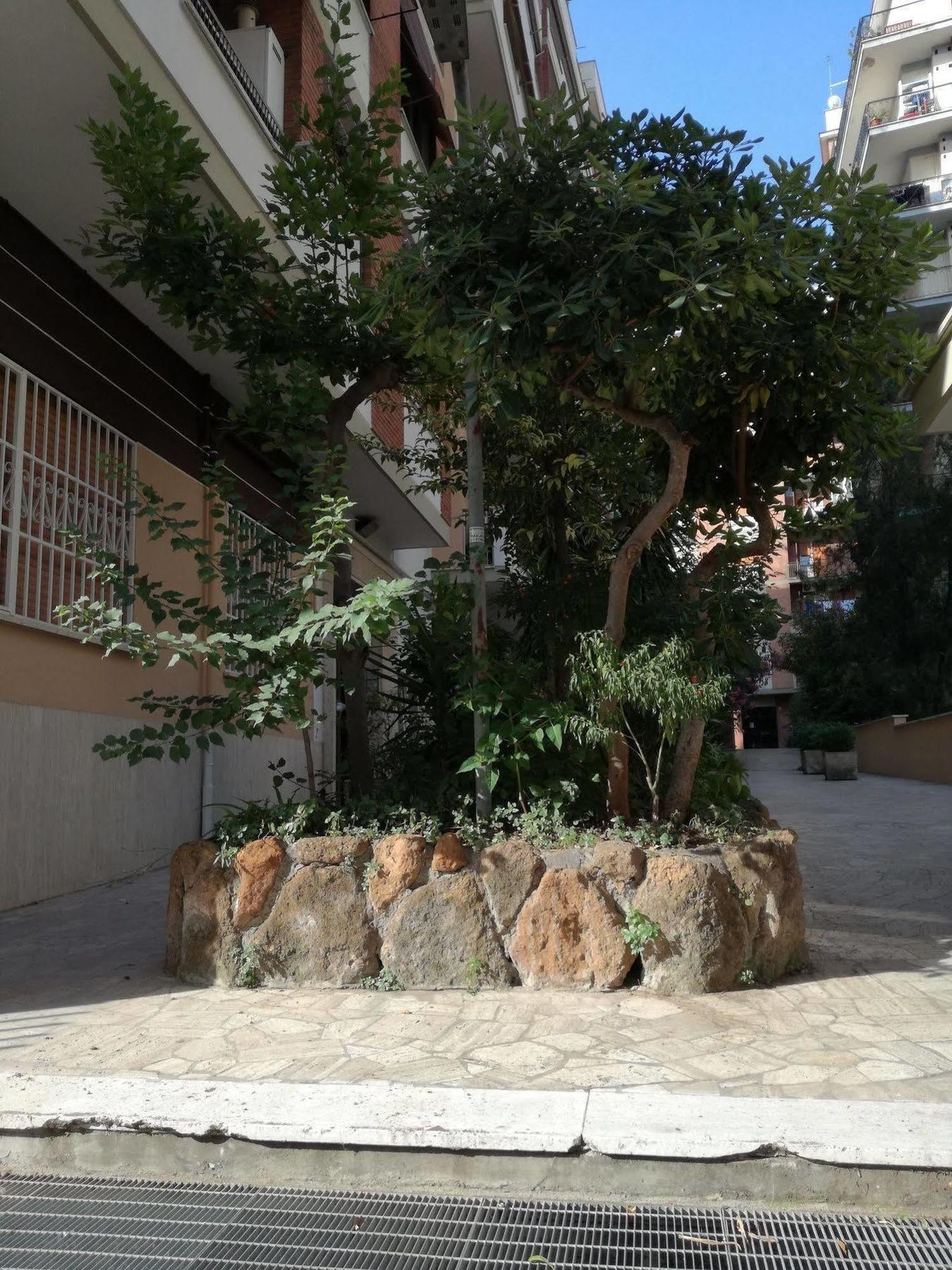 Testa Gioacchino B&B Rome Extérieur photo